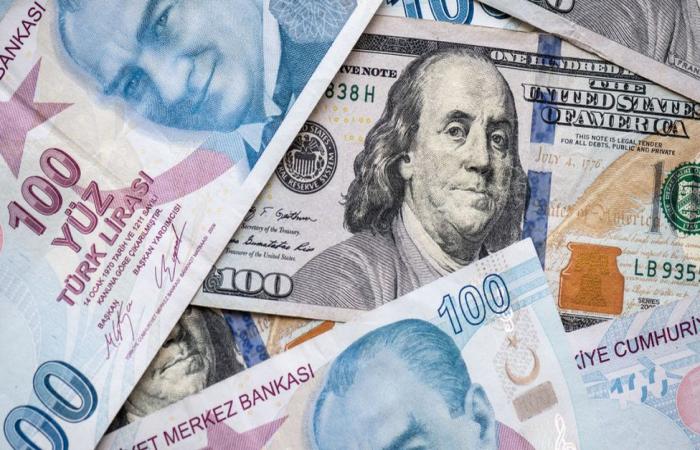 Dolar Rekor Kırmaya Devam Ediyor